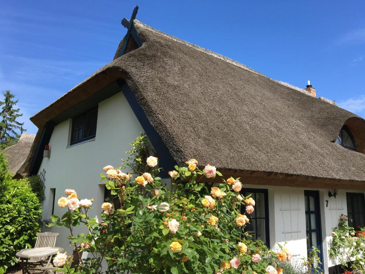 Landhaus Darss Wieck Exteriör bild