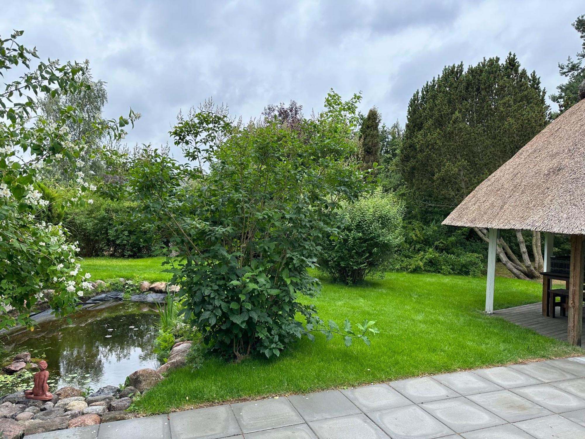 Landhaus Darss Wieck Exteriör bild